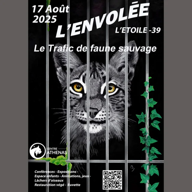 SAVE THE DATE : 17 août, L'Envolée !
3ème dimanche d'août, comme d'habitude, avec un thème très actuel servi par des intervenants de qualité, et toujours animations. gratuites, lâchers d'oiseaux et convivialité.
Venez nombreux !
Merci à @tessillustration et à ses élèves pour l'affiche (Jérôme et Benjamin notamment) !