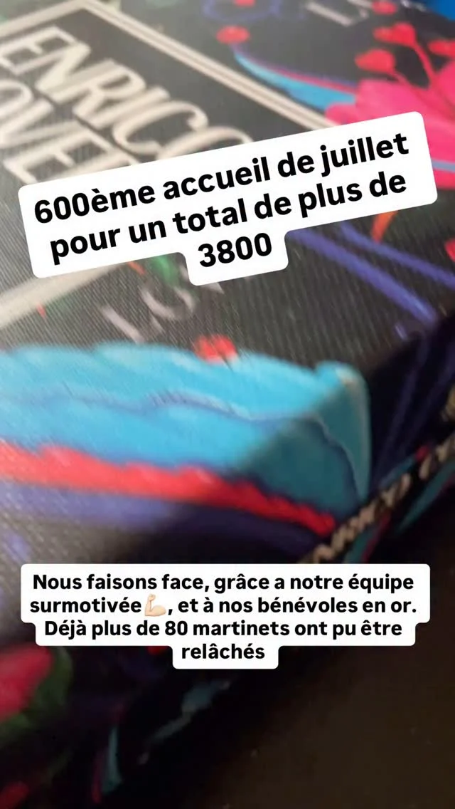 Publication 18059449499011953 Instagram