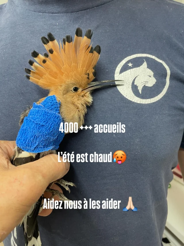 Publication 18054966788107963 Instagram