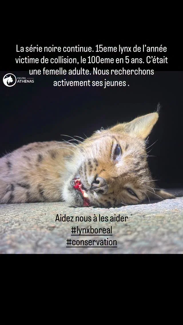 Publication 18104988694613964 Instagram